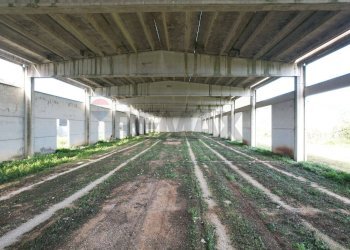 Parcheggio - Locale Commerciale Località Mandrione
 
snc, Vieste - foto 2