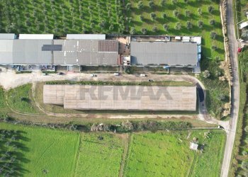 Posizione della mappa - Locale Commerciale Località Mandrione
 
snc, Vieste - foto 3