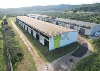 Edificio all\'aperto - Locale Commerciale Località Mandrione
 
snc, Vieste - foto 5