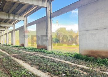 Giardino - Locale Commerciale Località Mandrione
 
snc, Vieste - foto 10