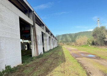 Edificio all\'aperto - Locale Commerciale Località Mandrione
 
snc, Vieste - foto 14