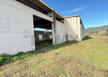 Giardino - Locale Commerciale Località Mandrione
 
snc, Vieste - foto 15