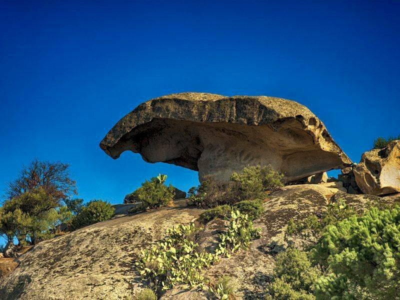 Foto 1 - Trilocale Via L. da Vinci
 
3, Arzachena - foto 1