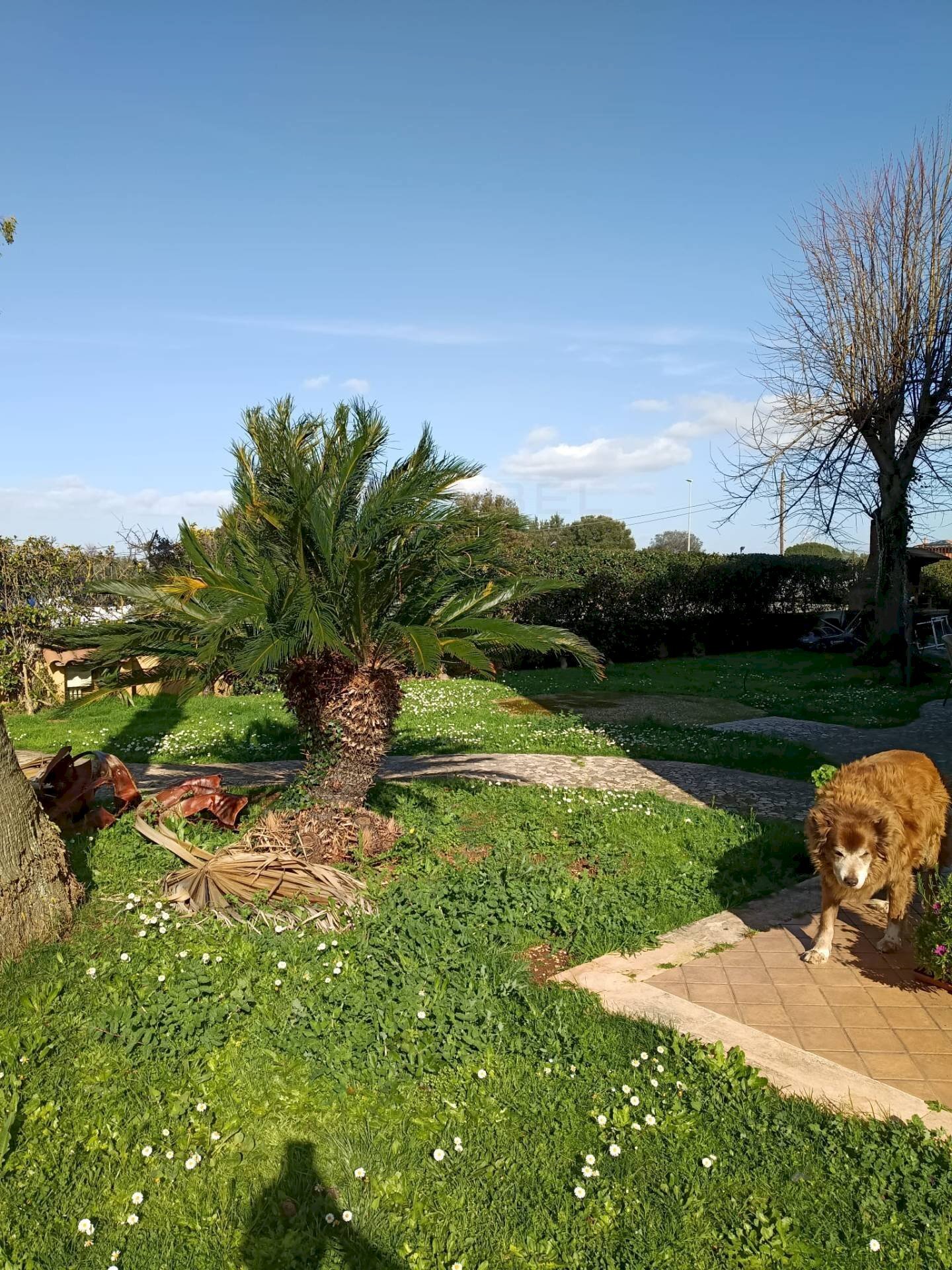 Foto 2 - Quadrilocale Via Cantinella, Roma - foto 2