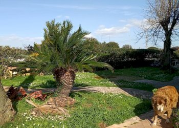 Foto 2 - Quadrilocale Via Cantinella, Roma - foto 2