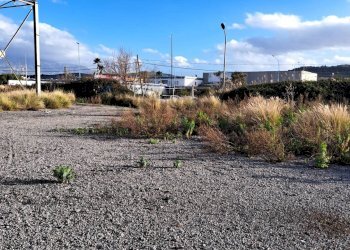 Vista delle montagne - Terreno edificabile via canne masche
snc, Termini Imerese - foto 8