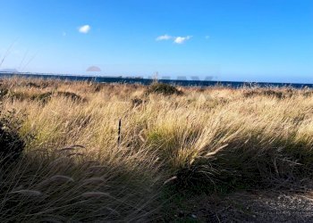 Vista dell\'acqua - Terreno edificabile via canne masche
snc, Termini Imerese - foto 9
