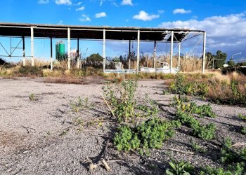 Vista dell\'acqua - Terreno edificabile via canne masche
snc, Termini Imerese - foto 15