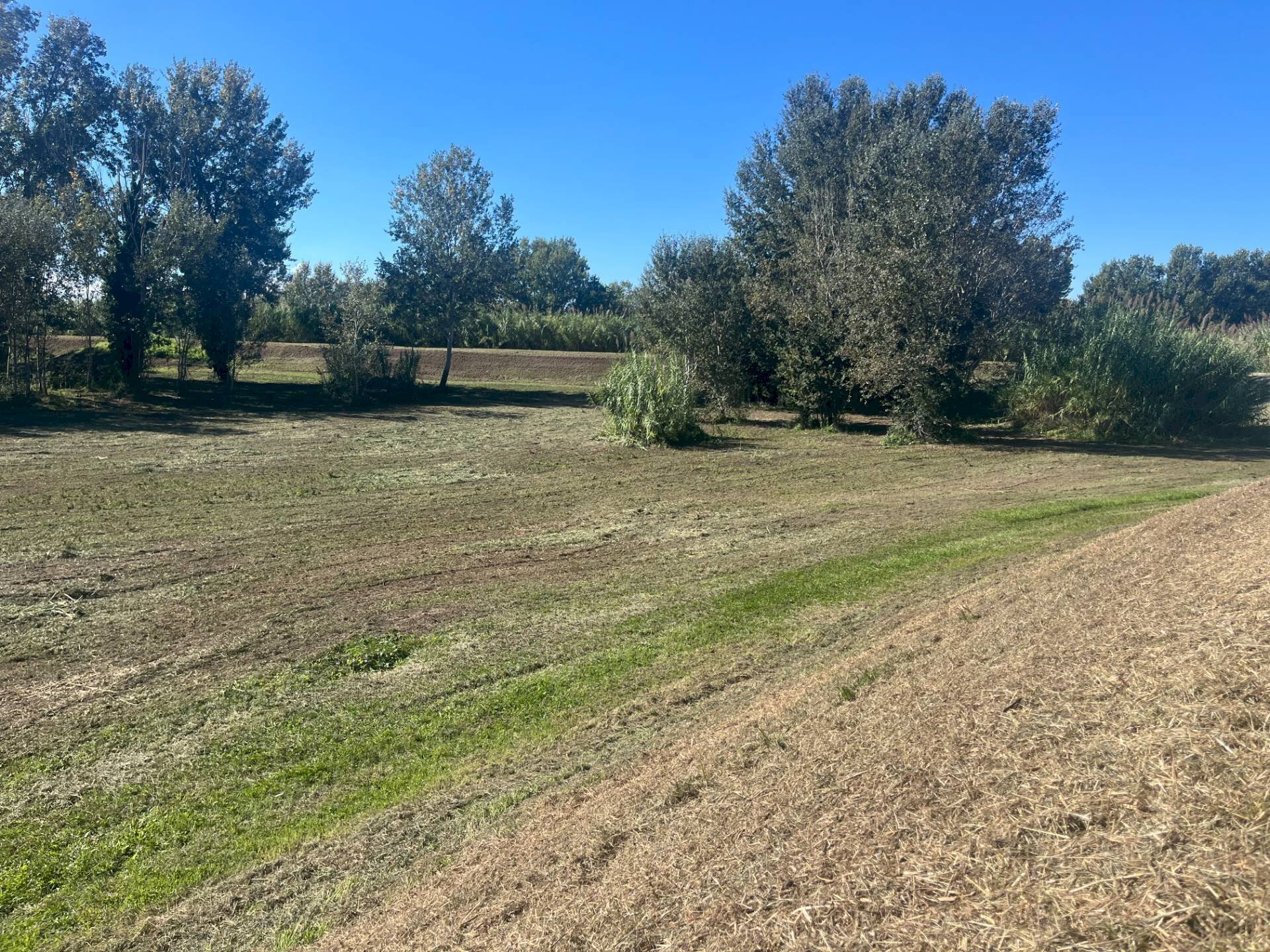 Foto 1 - Terreno edificabile Srada Provinciale 45
 
3, Lajatico - foto 1