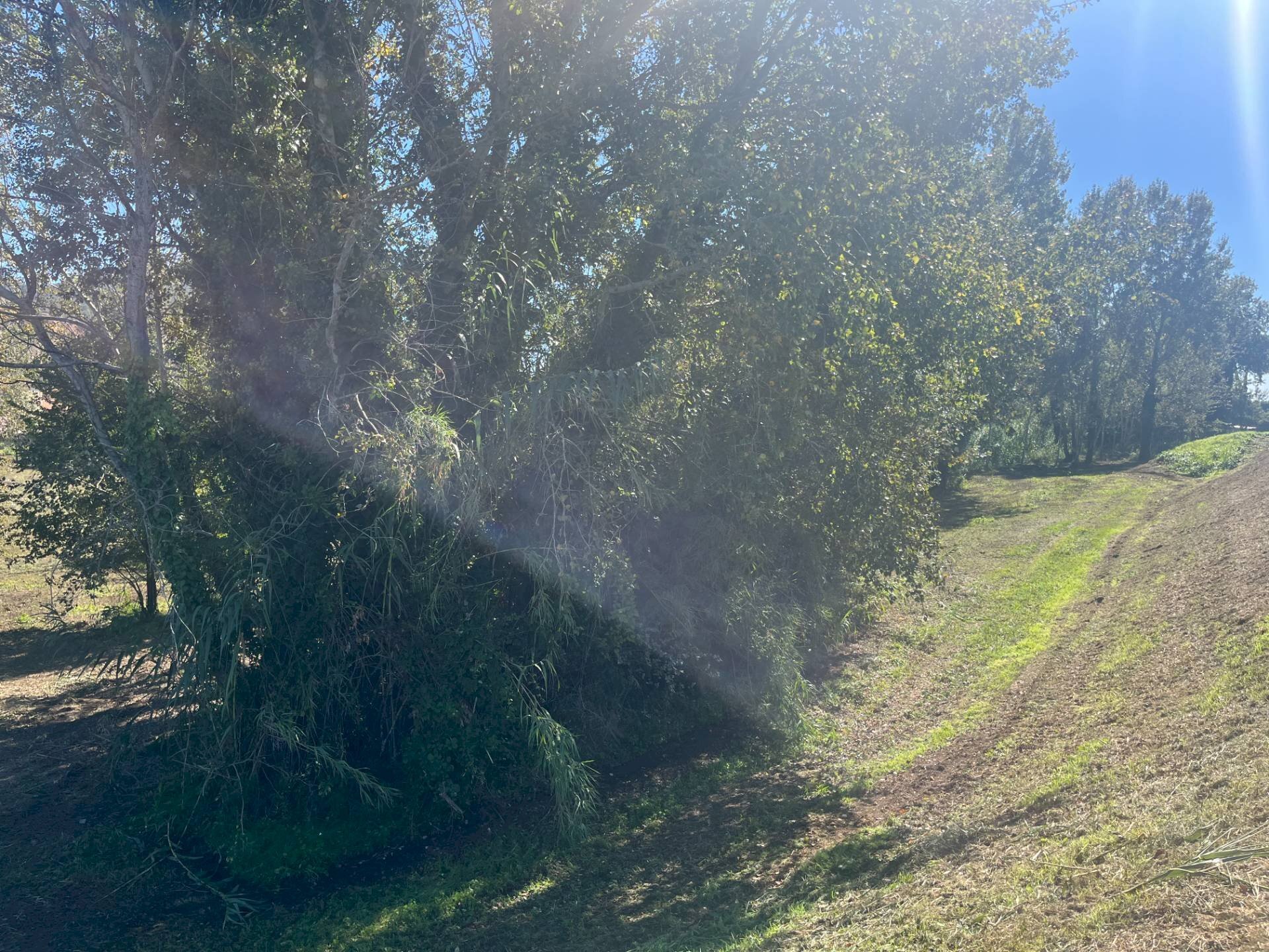 Foto 2 - Terreno edificabile Srada Provinciale 45
 
3, Lajatico - foto 2