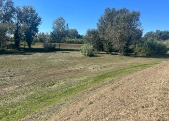 Foto 1 - Terreno edificabile Srada Provinciale 45
3, Lajatico - foto 1