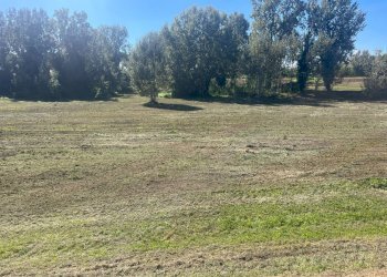 Foto 4 - Terreno edificabile Srada Provinciale 45
3, Lajatico - foto 4