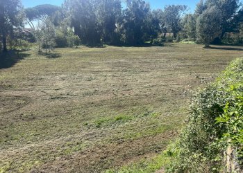 Foto 5 - Terreno edificabile Srada Provinciale 45
3, Lajatico - foto 5