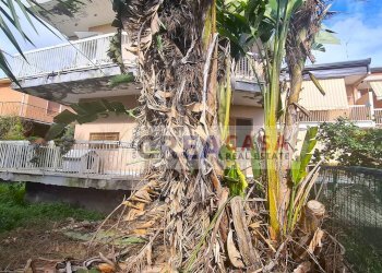 Foto 10 - Villa a Schiera via Garibaldi, Calatabiano - foto 10