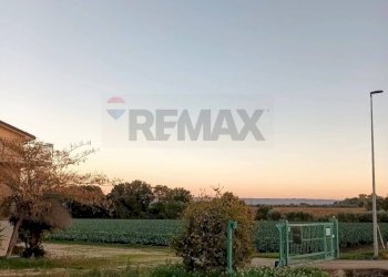 Giardino - Casa indipendente via Colloredo
 
58, Campomarino - foto 13