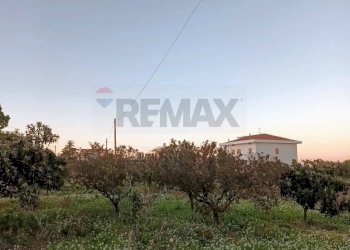 Edificio all\'aperto - Casa indipendente via Colloredo
 
58, Campomarino - foto 17