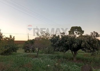 Giardino - Casa indipendente via Colloredo
 
58, Campomarino - foto 18