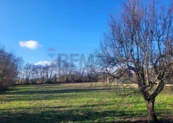 Giardino - Villa VIA CARLO PALMARO
 
1, Greggio - foto 4