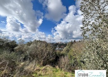 Foto 3 - Trilocale Amelia - foto 3