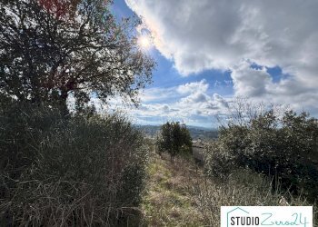 Foto 6 - Trilocale Amelia - foto 6