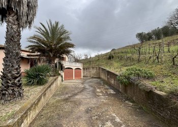 Foto 14 - Villa Alviano - foto 14