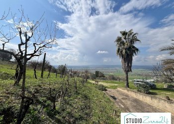 Foto 12 - Villa Alviano - photo 12