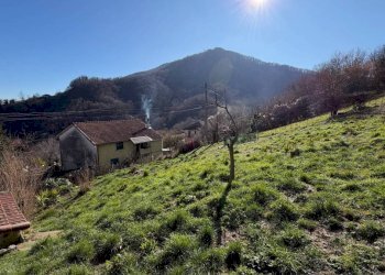 Terreno - Villa via dei Bernardi, Ceranesi - foto 2