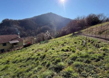 Terreno - Villa via dei Bernardi, Ceranesi - foto 5