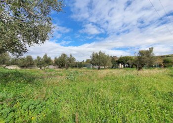 Foto 6 - Terreno edificabile via Fiume Neto, Catanzaro - foto 6