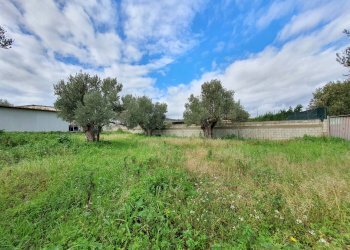 Foto 9 - Terreno edificabile via Fiume Neto, Catanzaro - foto 9