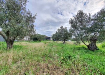 Foto 10 - Terreno edificabile via Fiume Neto, Catanzaro - foto 10