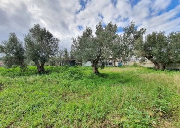 Foto 11 - Terreno edificabile via Fiume Neto, Catanzaro - foto 11