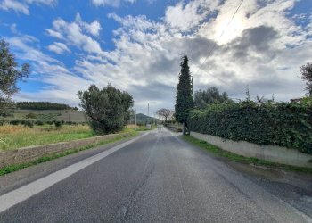 Foto 12 - Terreno edificabile via Fiume Neto, Catanzaro - foto 12