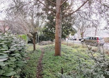 Terreno - Stabile - Palazzo corso 25 Aprile, 21, Cairo Montenotte - foto 3