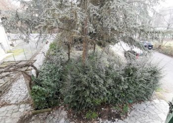 Terreno - Stabile - Palazzo corso 25 Aprile, 21, Cairo Montenotte - foto 14