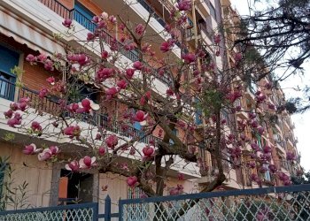 Four-room apartment via Aosta, 52, Torino (neighborhood Aurora) - photo 19