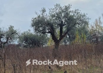 Rustic contrada Serepenne, Villamagna - photo 23