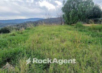 Terreno edificabile località cammari, Montepaone - foto 5