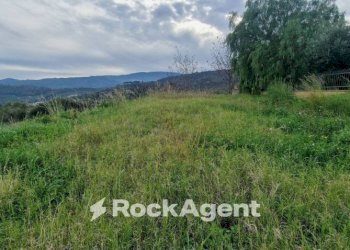 Terreno edificabile località cammari, Montepaone - foto 8