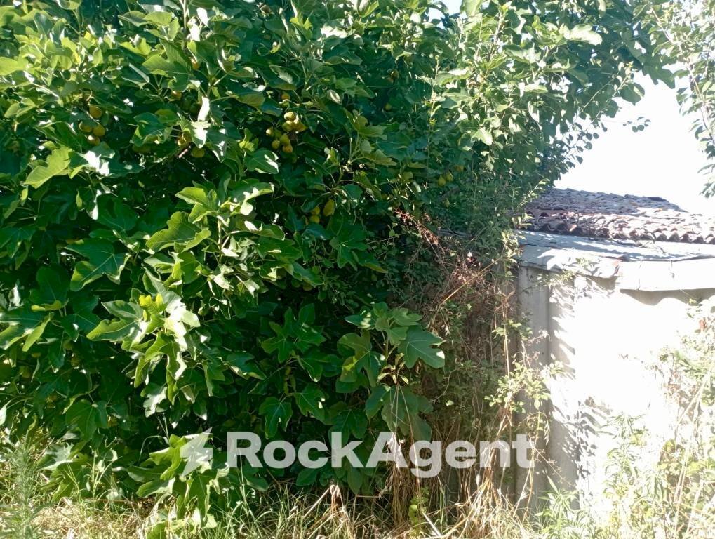 Terreno agricolo Frazione Camporello 7/8, San Damiano al Colle - foto 3