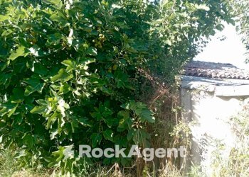 Terreno agricolo Frazione Camporello 7/8, San Damiano al Colle - foto 3