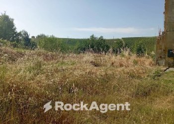 Terreno agricolo Frazione Camporello 7/8, San Damiano al Colle - foto 1
