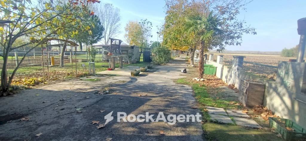 Terreno agricolo via Campanella, Suardi - foto 2