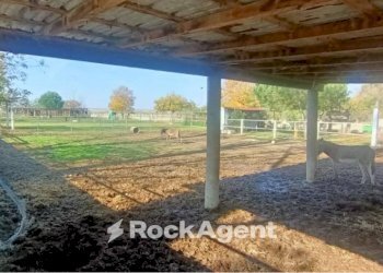 Terreno agricolo via Campanella, Suardi - foto 6