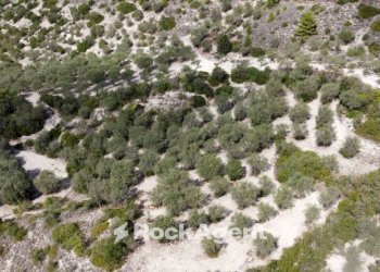 Terreno agricolo Loc Santa Barbara, Sorso - foto 3