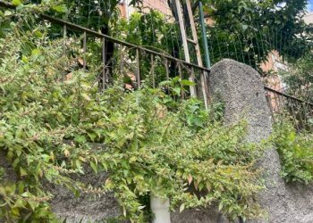 Terreno - Casa indipendente contrada Acqua del Conte, Messina - foto 24