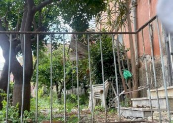 Giardino - Casa indipendente contrada Acqua del Conte, Messina - foto 18