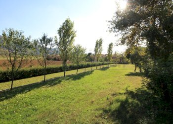 PARCHEGGIO - Agriturismo Brendola - foto 30