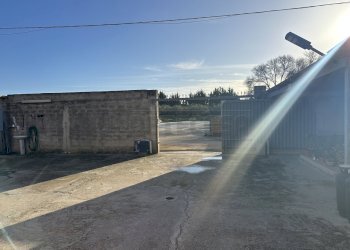 IMG_9651.JPG - Villa a Schiera Campobello di Mazara - foto 27