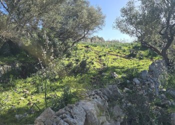 20260213_100802.jpg - Terreno agricolo C.DA CUGNI  SNC, Siracusa - foto 8